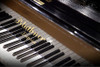 Synchron Pianos Bundle Standard Libary