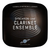 SYNCHRON-ized Clarinet Ensemble