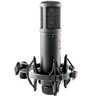 SE Electronics Large Diaphragm Cardioid Condenser Mic with Shockmount & Filter