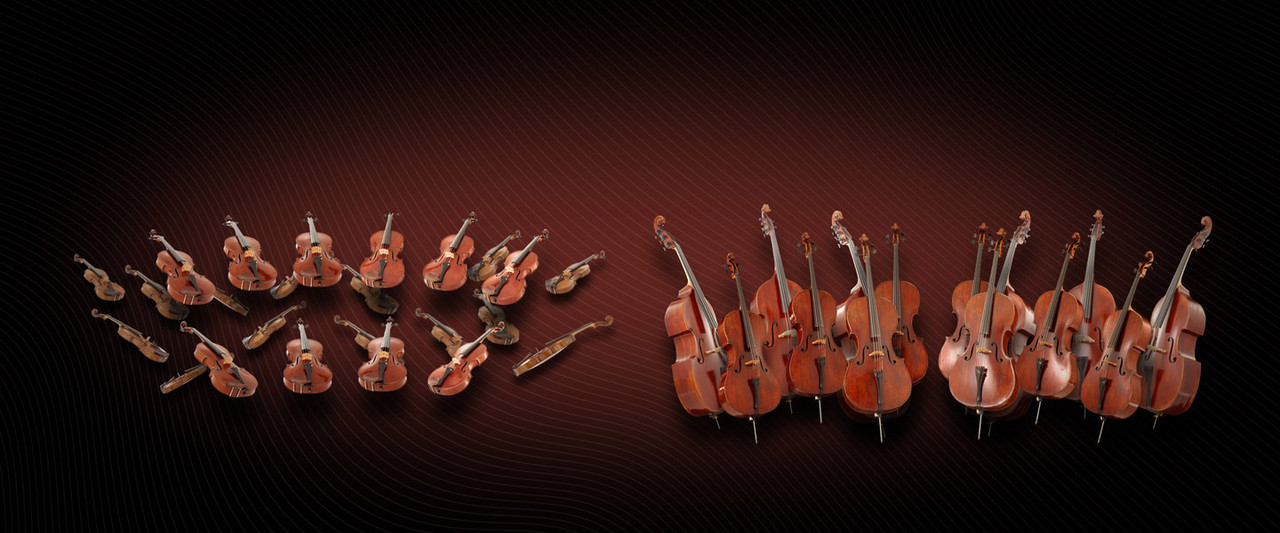 Vienna Orchestral Strings Bundle Upgrade to Full Library