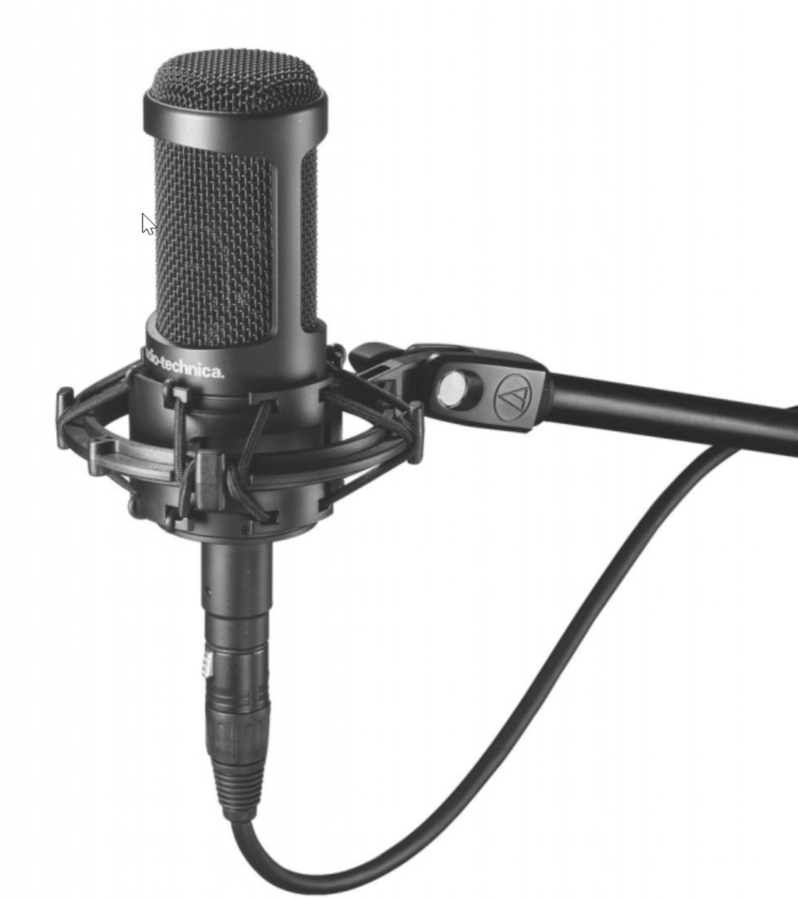 AT2035 Cardioid Condenser Microphone