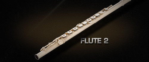 Flute 2 Upgrade to Full Library