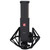 VR 2 - SE Electronics Voodoo Active Ribbon Microphone with Shockmount and Case