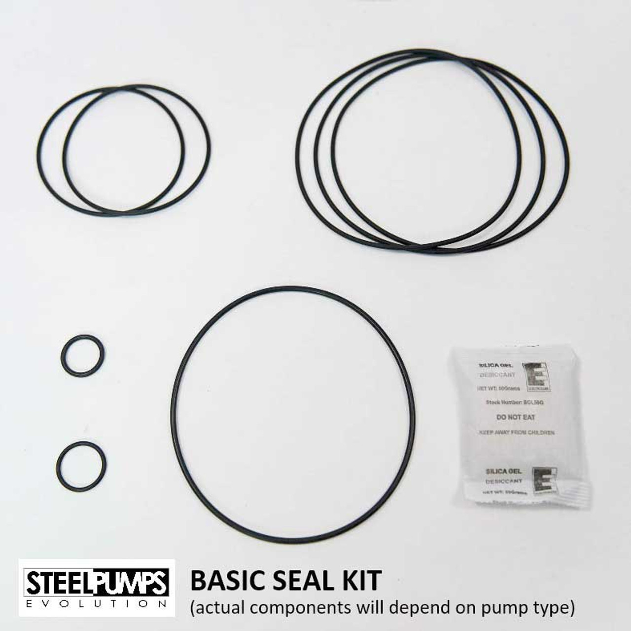 Basic Seal Kit (actual components will depend on the model of SteelPump being serviced).