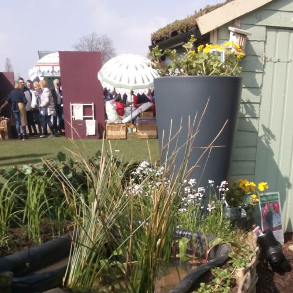 Rain Gardens to Help Prevent Floods