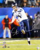 Steven Hauschka Autographed 16x20 Photo Seattle Seahawks Super Bowl MCS Holo Stock #98219