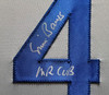 Chicago Cubs Ernie Banks Autographed Framed Gray Jersey "Mr. Cub" PSA/DNA Stock #202409