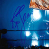 Ric Flair Autographed 11x14 Photo JSA Stock #203596