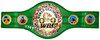 Floyd Mayweather Jr. Autographed Green WBC World Championship Boxing Belt "TMT" Beckett BAS Witness Stock #221648