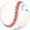 Mike Dalton Autographed Official AL Baseball Detroit Tigers SKU #225749