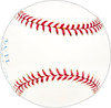 Graig Nettles Autographed Official 1978 World Series Logo MLB Baseball New York Yankees "WS Champs 77-78" Beckett BAS QR #BM25610