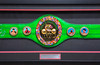 Floyd Mayweather Jr Autographed Framed WBC World Championship Green Belt Beckett BAS QR Stock #224817