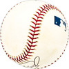 Sal Fasano Autographed Official MLB Baseball Blu Toronto Blue Jays, New York Yankees SKU #229931