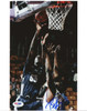Roy Hibbert Autographed 8x10 Photo Georgetown Hoyas PSA/DNA #S40454
