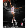 Unsigned Julius "Dr. J" Erving 16x20 Photo #1 (Autograph Ticket Required)