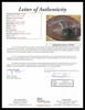 Derrick Thomas Autographed Official NFL Leather Game Football Kansas City Chiefs JSA #XX99561