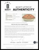 1966 NFL Champion Green Bay Packers Team Autographed Official Spalding Leather Football With 48 Signatures Including Vince Lombardi Beckett BAS #AE85553