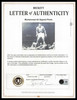 Muhammad Ali Autographed Framed 16x20 Photo Beckett BAS #AG010654