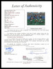 Lawrence Taylor, Joe Namath & Charles McKimson Autographed Framed 10x12 Photo Looney Tunes #230/250 JSA #X51365