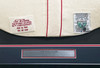 Boston Red Sox Ted Williams Autographed Framed Cream Mitchell & Ness Jersey Beckett BAS #AE46403
