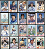 195 Count Lot of Autographed 1982 Topps Baseball Cards (All Different) SKU #266568