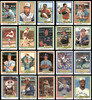 233 Count Lot of Autographed 1981 Donruss Baseball Cards (All Different) SKU #266546