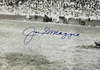 Joe DiMaggio Autographed Framed 20x24 Photo New York Yankees Beckett BAS QR Stock #267820