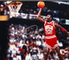 Michael Jordan & Julius "Dr. J" Erving Autographed Framed 16x20 Photo #/150 UDA Holo Stock #267822