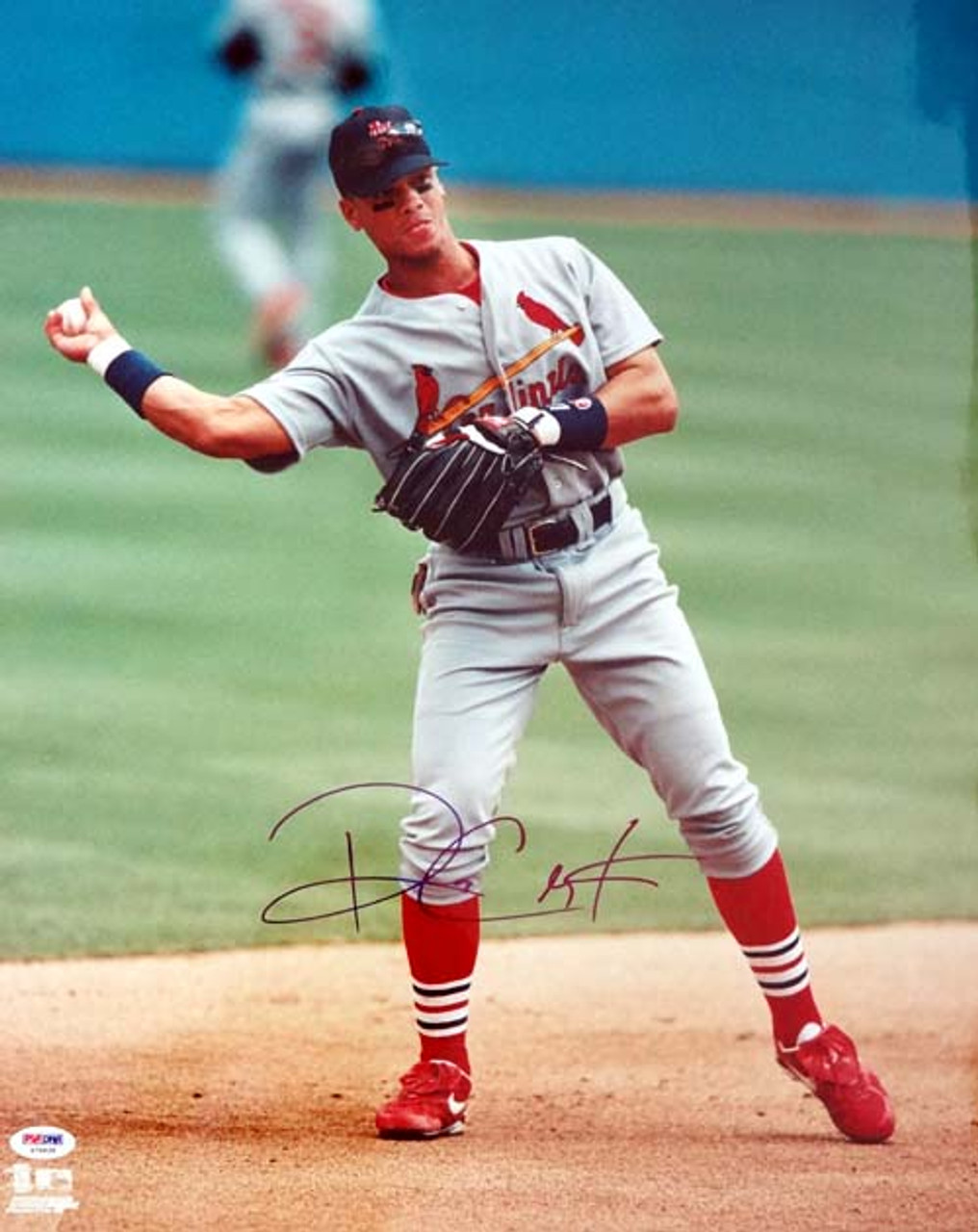 1982 St. Louis Cardinals Autographed 16x20