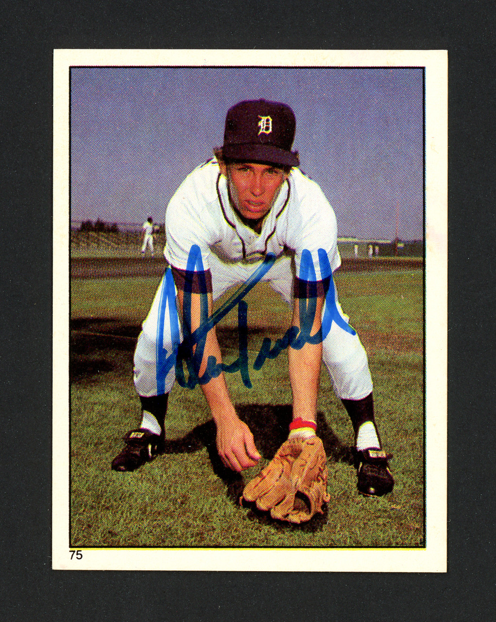 Alan Trammell Autographed 1981 Topps Sticker Card #75 Detroit Tigers SKU  #160496 - Mill Creek Sports