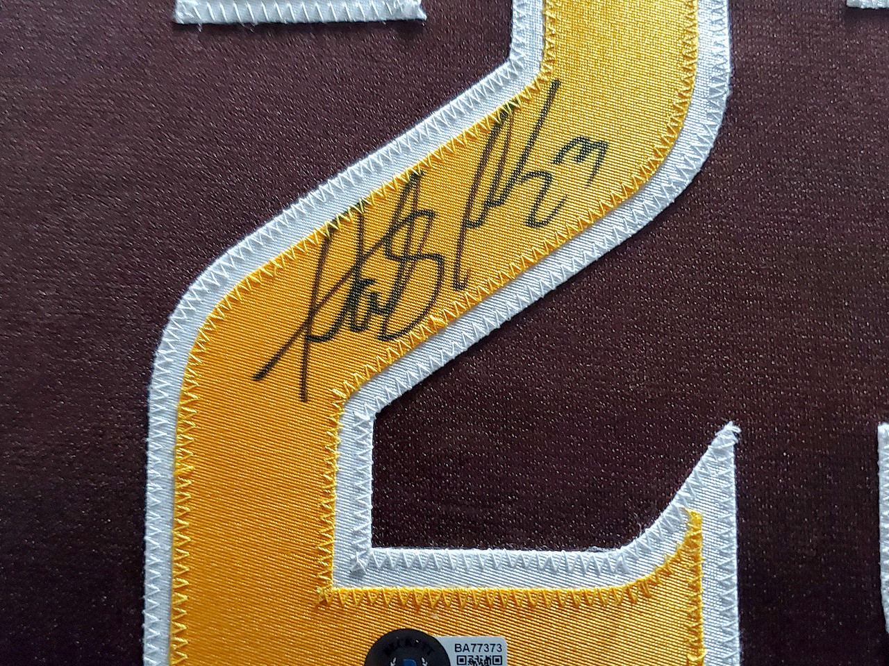 Framed Autographed/Signed Fernando Tatis Jr. 33x42 San Diego Brown Baseball  Jersey JSA COA at 's Sports Collectibles Store