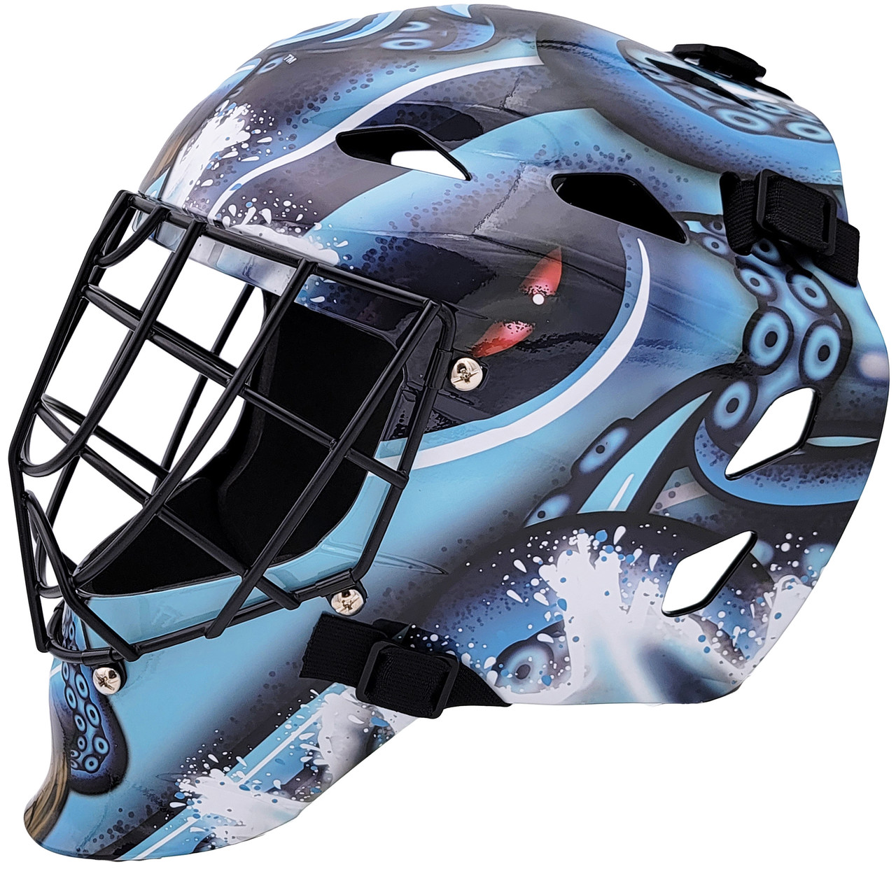 Here's a goalie mask that costs $12,500