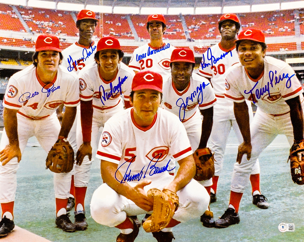 1975-1976 Cincinnati Reds Autographed 16x20 Photo Big Red Machine With 8  Signatures Including Johnny Bench & Pete Rose Beckett BAS Stock #212437