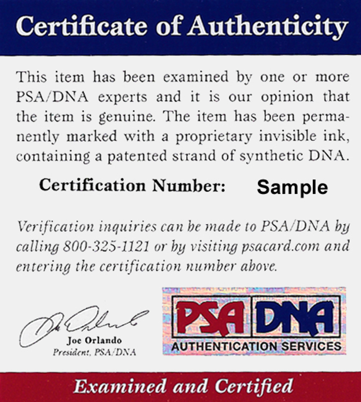 Hank Aaron Autographed Atlanta Braves Majestic MLB Jersey - PSA/DNA  Authentication