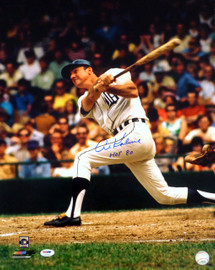 Al Kaline Autographed 16x20 Photo Detroit Tigers "HOF 80" PSA/DNA Stock #16447