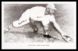 Buck O'Neil Autographed 11x17 Photo Negro Leagues MCS Holo Stock #209010