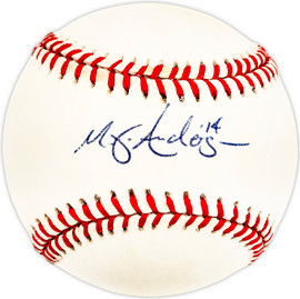 Matt Anderson Autographed Official AL Baseball Detroit Tigers SKU #225942