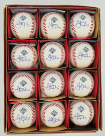 Yan Gomes Autographed Official 2019 World Series Baseball 12 Count Lot Washington Nationals PSA/DNA Stock #266306