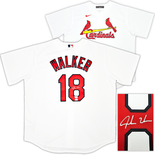 St. Louis Cardinals Yadier Molina Autographed Light Blue Jersey JSA Stock  #215326