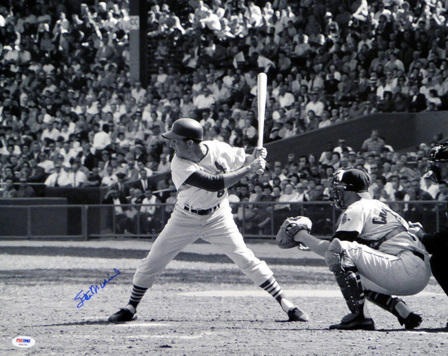 Stan Musial Autographed 16x20 Photo St. Louis Cardinals PSA/DNA Stock #18611