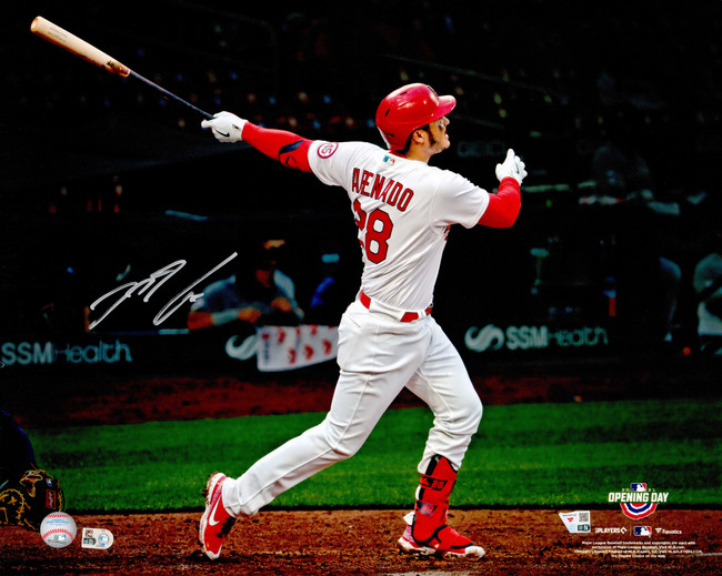 Nolan Arenado Autographed 16x20 Photo St. Louis Cardinals Fanatics & MLB Holo Stock #263010