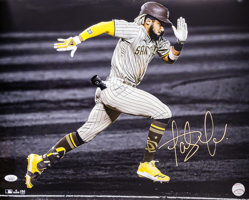 San Diego Padres Fernando Tatís Jr 18 x 24 Serigraph – Phenom Gallery