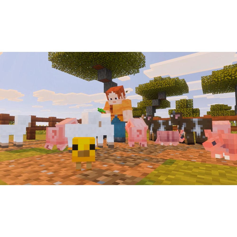 Minecraft - Switch 2 (Game-Key Card) - Vast Inc