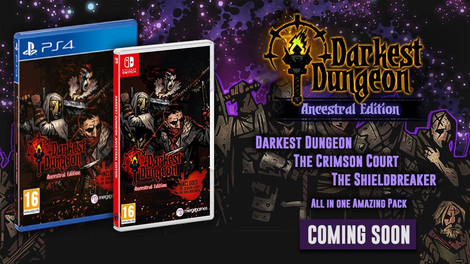 Pre-Order Darkest Dungeon!
