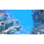 Dave the Diver: Complete Edition - Switch 2 [PREORDER]