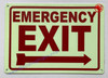 Photoluminescent EMERGENCY EXIT WITH RIGHT ARROW/GLOW IN THE DARK EMERGENCY EXIT WITH RIGHT ARROW Sign