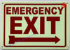 Photoluminescent EMERGENCY EXIT WITH RIGHT ARROW/GLOW IN THE DARK EMERGENCY EXIT WITH RIGHT ARROW Fire Deparment Sign