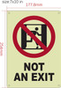 Photoluminescent NOT AN EXIT WITH Symbol/GLOW IN THE DARK NOT AN EXIT WITH IMAGE Fire Deparment Sign