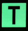 PHOTOLUMINESCENT DOOR NUMBER T BUILDING SIGN