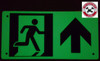 PHOTOLUMINESCENT EXIT DOB SIGN HEAVY DUTY / GLOW IN THE DARK "EXIT" DOB SIGN HEAVY DUTY